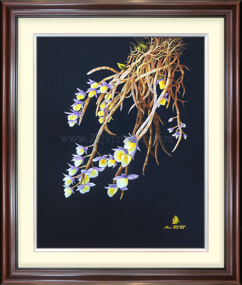 Hoa Phong Lan Đà Lạt 12